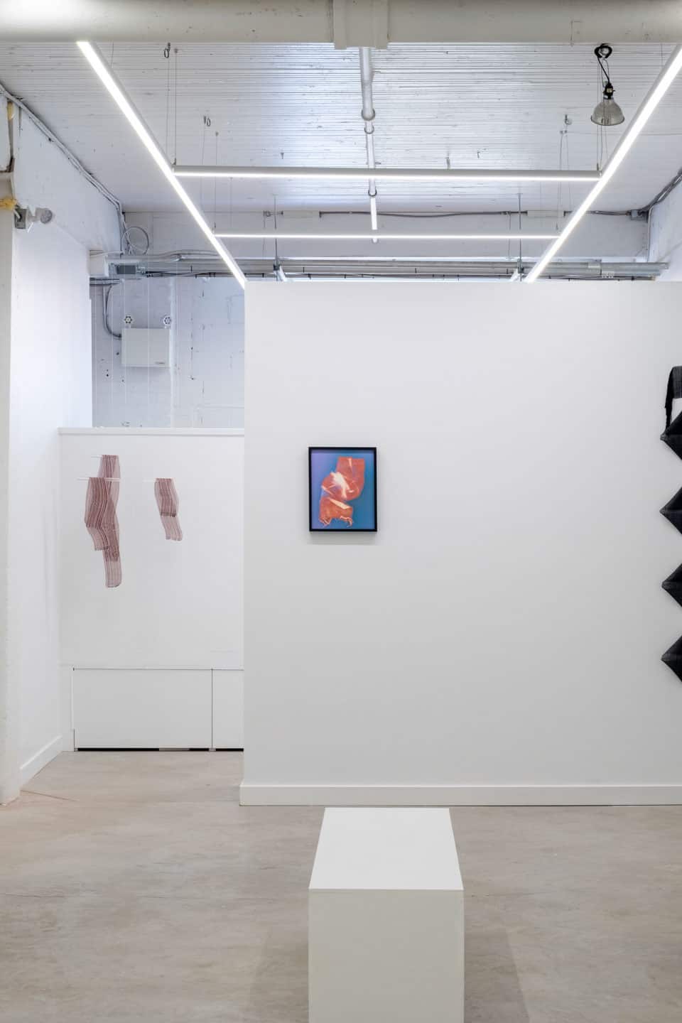 The Haptics of Optics at NAMARA projects